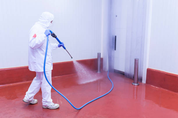 Best Playground Equipment Cleaning  in Parker, SC